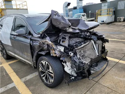 2019 Hyundai Santa FE KMHS381CDKU010058 VIN:KMHS381CDKU010058