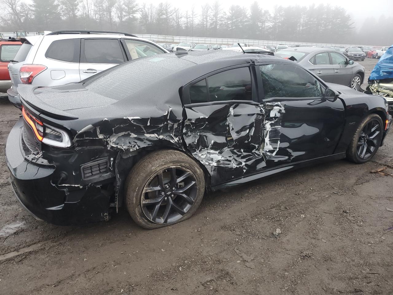 2023 DODGE CHARGER R/T VIN:2C3CDXCT5PH665907