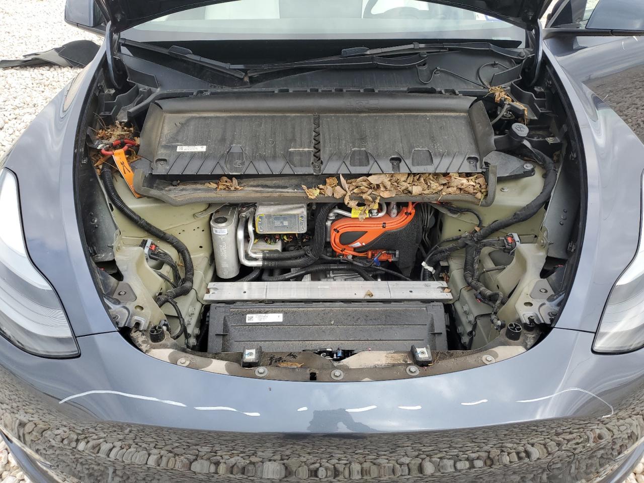 2022 TESLA MODEL Y  VIN:7SAYGDEF5NF565567
