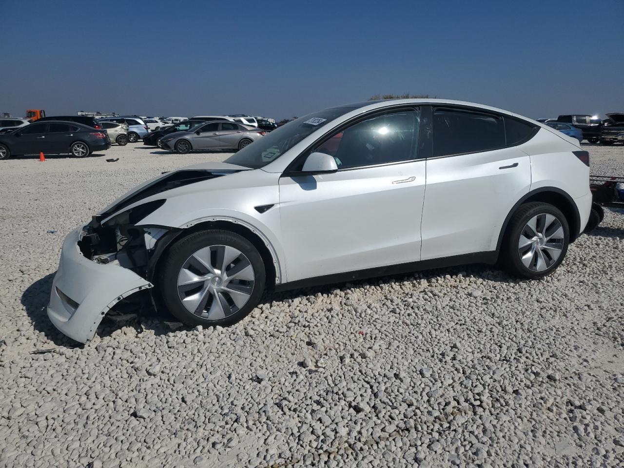 2024 TESLA MODEL Y  VIN:7SAYGDEE1RA279192
