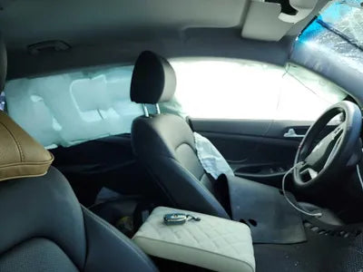 2020 Hyundai Tucson KMHJ3812GLU289063 VIN:KMHJ3812GLU289063