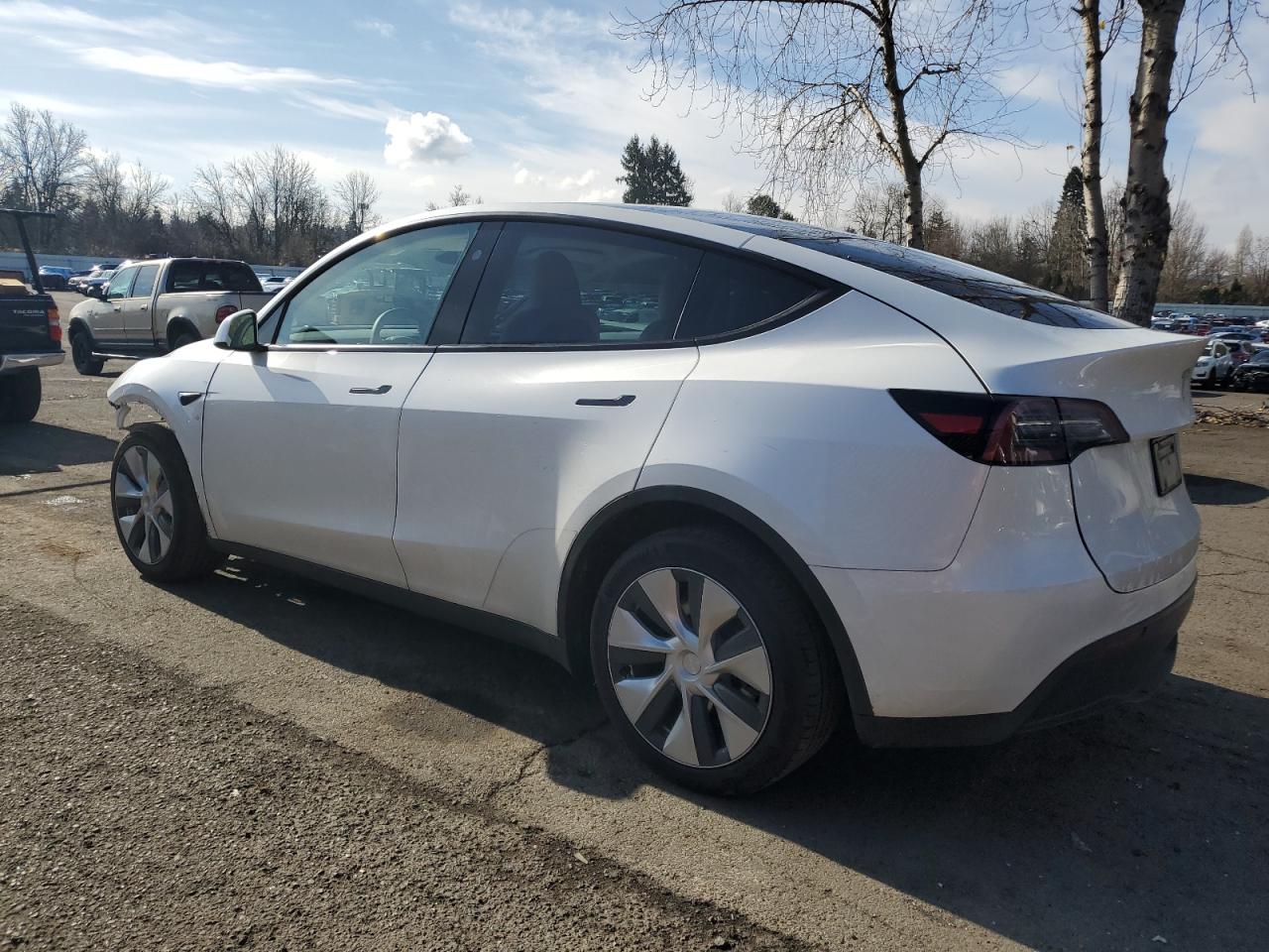 2023 TESLA MODEL Y  VIN:7SAYGDEE5PF831826