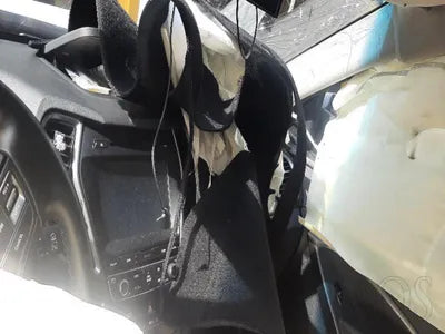 2016 Hyundai Santa FE KMHSU81UBGU666957 VIN:KMHSU81UBGU666957