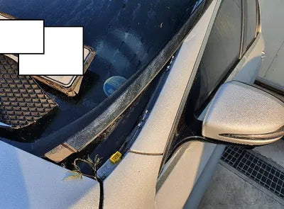 2020 Mercedes-Benz E 300 W1KZF5EB5LA841295 VIN:W1KZF5EB5LA841295