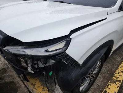 2019 Hyundai Santa FE KMHS281BBKU006337 VIN:KMHS281BBKU006337