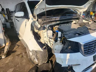 2019 Kia Carnival KNAMB81ABKS601953 VIN:KNAMB81ABKS601953