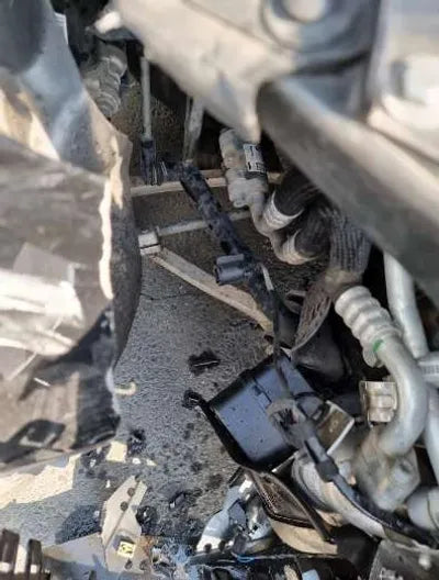 2019 BMW 120 WBY8P2103K7D97272 VIN:WBY8P2103K7D97272