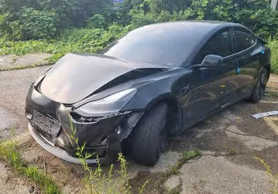 2021 Tesla Model 3 5YJ3E1EBXMF947195 VIN:5YJ3E1EBXMF947195