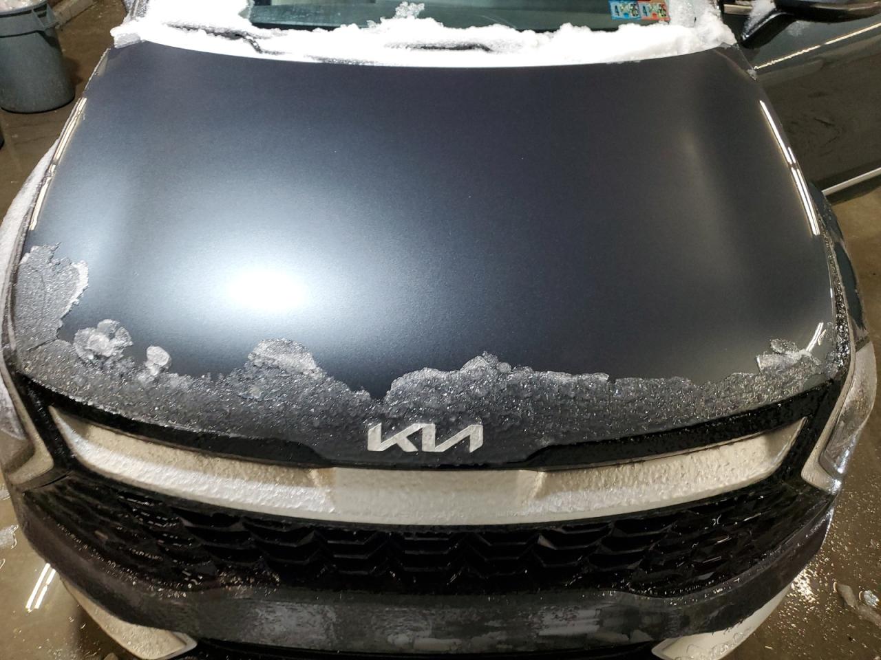 2023 KIA SPORTAGE EX VIN:5XYK33AF6PG063239