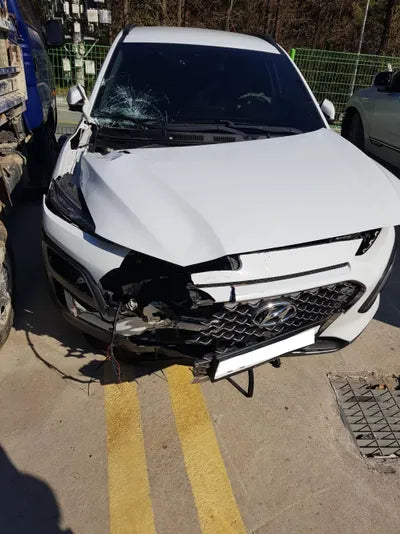 2018 Hyundai Kona KMHK4815GJU117585 VIN:KMHK4815GJU117585