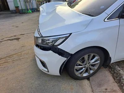 2019 Kia Carnival KNAME81ABKS587092 VIN:KNAME81ABKS587092