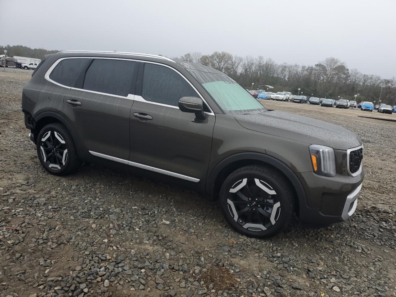 2024 KIA TELLURIDE EX VIN:5XYP34GCXRG470024