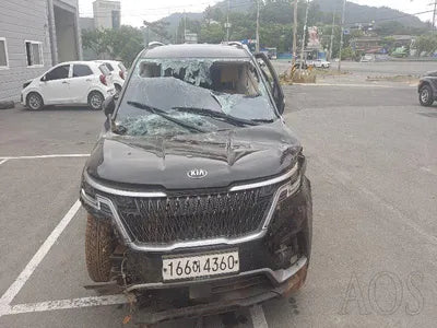 2020 Kia Carnival KNANB81BBMS012818 VIN:KNANB81BBMS012818
