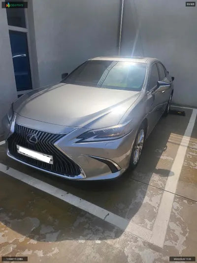 2020 Lexus ES 300 JTHBA1C15M2002738 VIN:JTHBA1C15M2002738