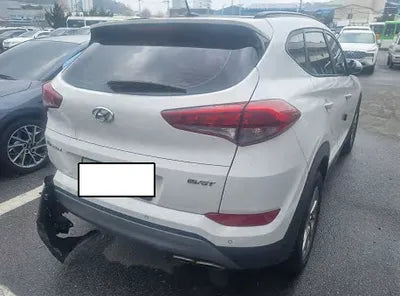 2016 Hyundai Tucson KMHJ381ABGU003625 VIN:KMHJ381ABGU003625