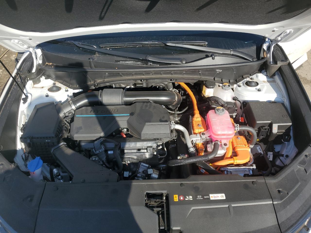 2024 HYUNDAI TUCSON N LINE VIN:KM8JFCD16RU194171