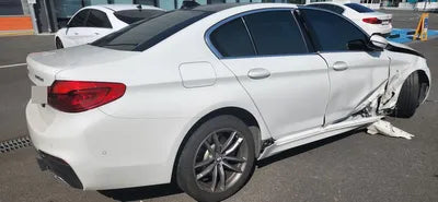 2019 BMW 520 WBAJF5106LWW56233 VIN:WBAJF5106LWW56233