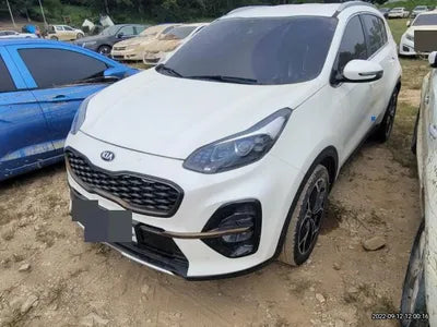 2019 Kia Sportage KNAPP81ABKK645672 VIN:KNAPP81ABKK645672