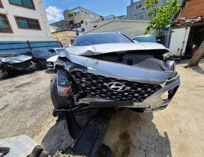 2019 Hyundai Santa FE KMHS381BBKU156411 VIN:KMHS381BBKU156411