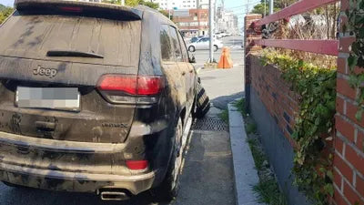 2020 Jeep Cherokee 1C4RJFBG3LC298113 VIN:1C4RJFBG3LC298113