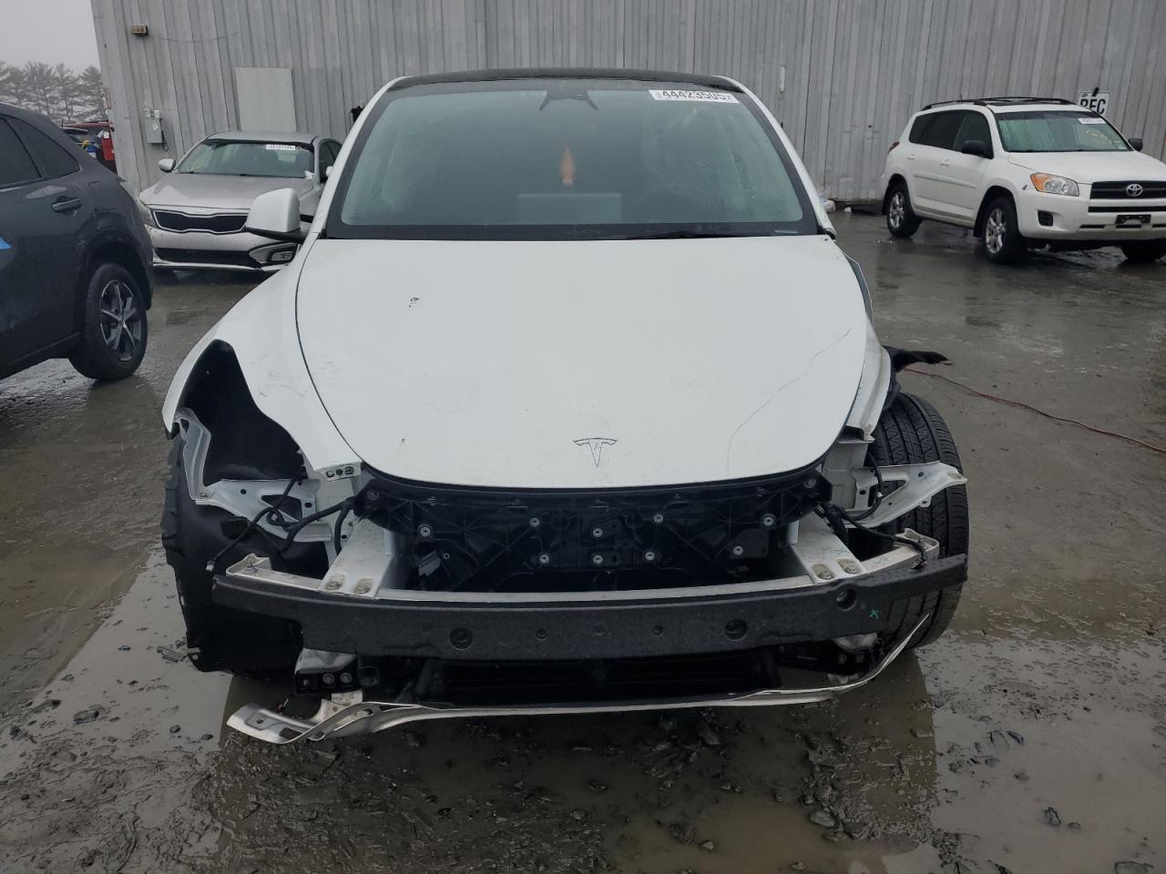 2023 TESLA MODEL Y  VIN:7SAYGDEE1PA114563