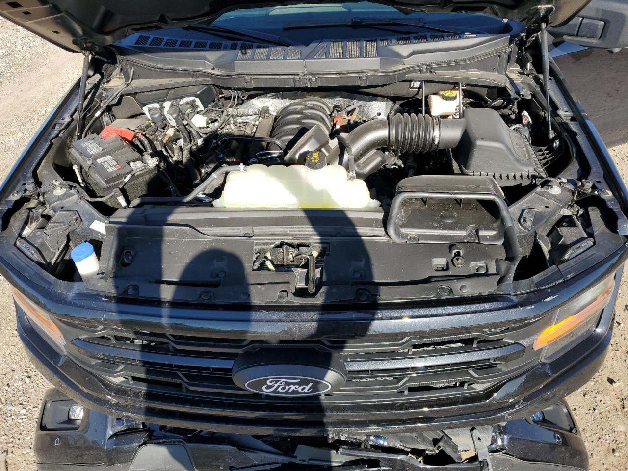 2024 FORD F150 XLT VIN:1FTEW3K54RKD49484
