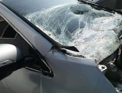 2017 Kia Sorento KNAPS81ABJA422175 VIN:KNAPS81ABJA422175