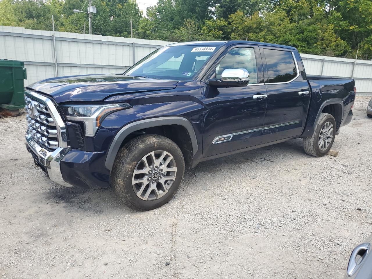 2023 TOYOTA TUNDRA CREWMAX PLATINUM VIN:5TFMA5DB8PX110206