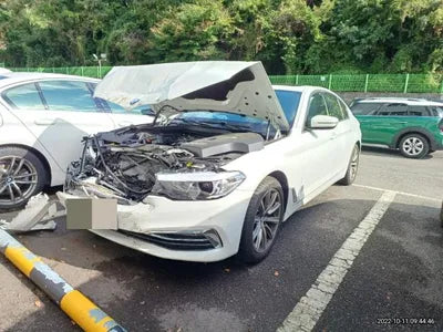 2019 BMW 520 WBAJK7106KBP73839 VIN:WBAJK7106KBP73839