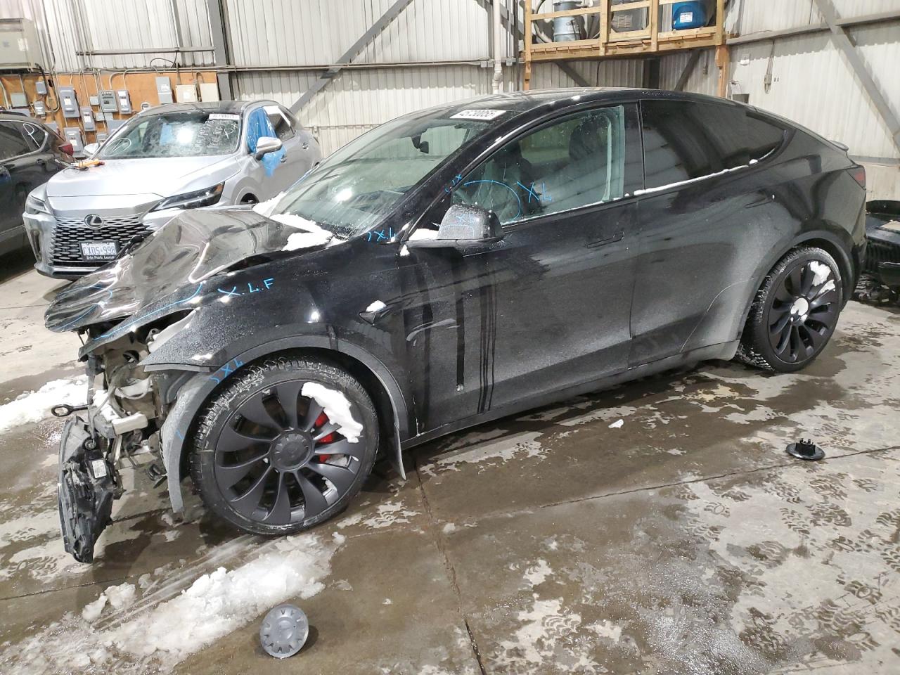 2023 TESLA MODEL Y  VIN:LRWYGDEF5PC967695
