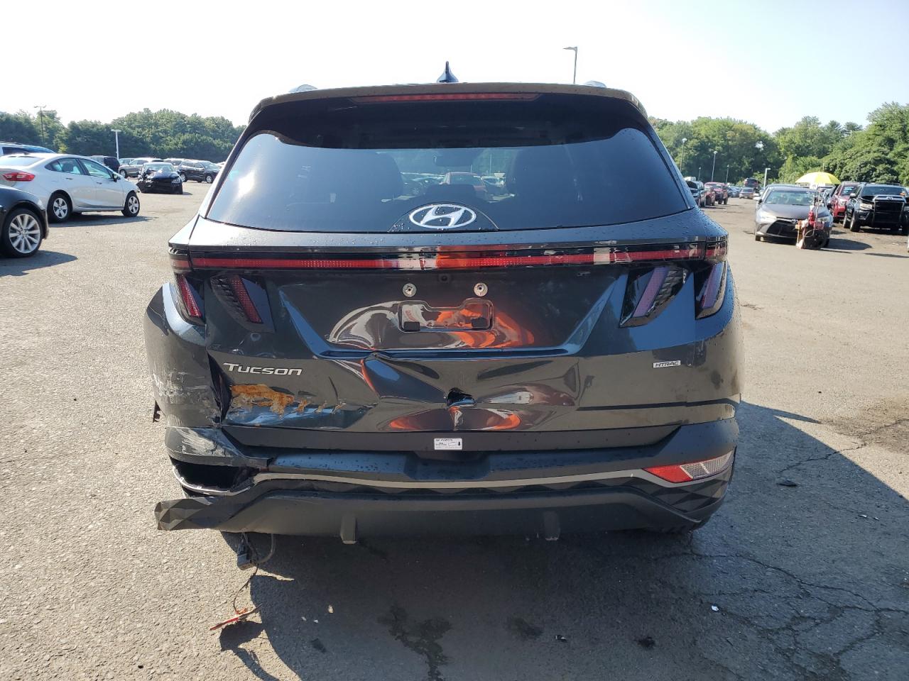 2024 HYUNDAI TUCSON SEL VIN:5NMJFCDEXRH365275