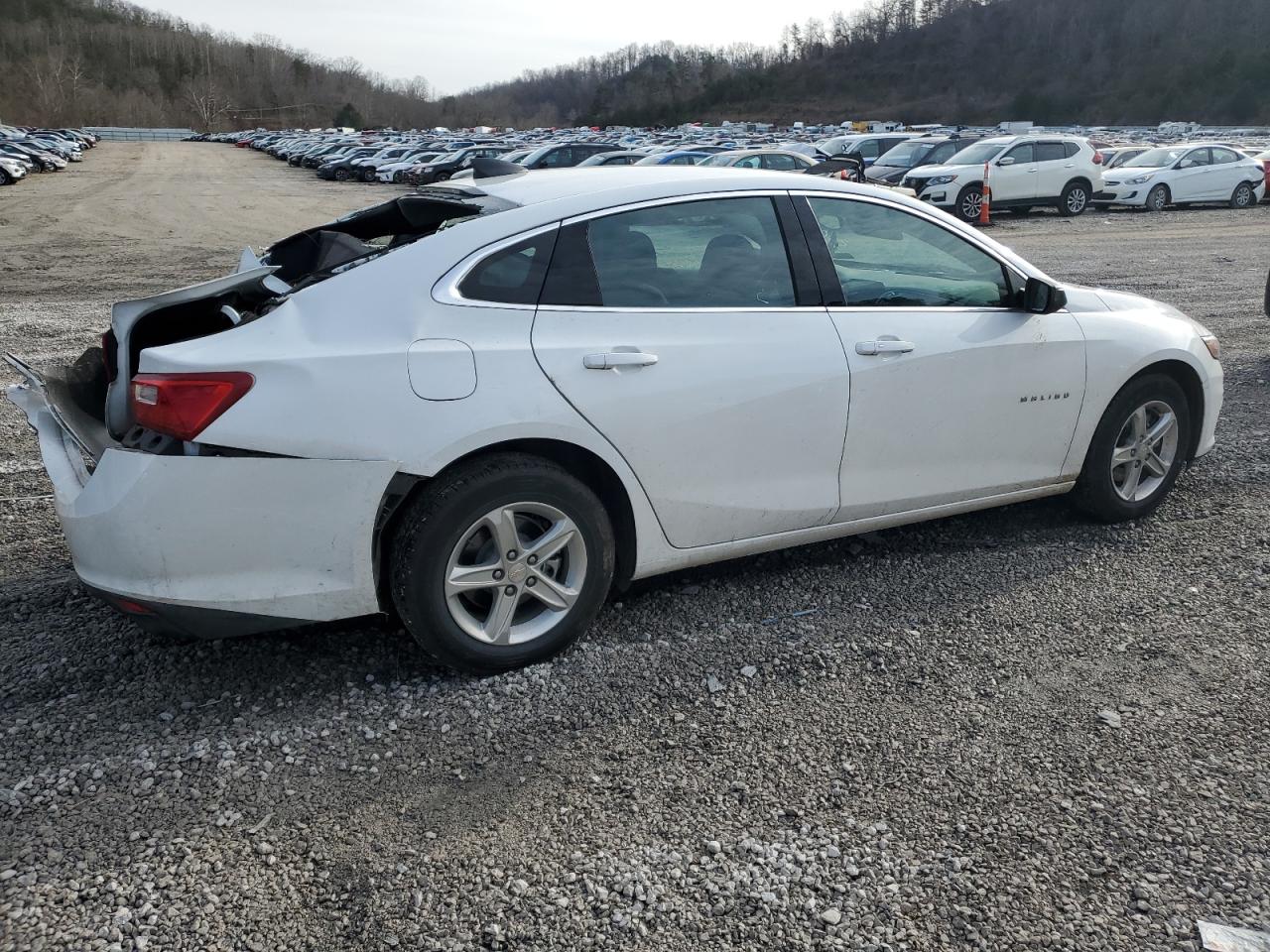 2023 CHEVROLET MALIBU LS VIN:1G1ZC5ST8PF113925