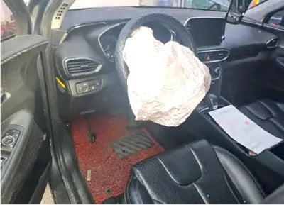 2019 Hyundai Santa FE KMHS281BBKU066495 VIN:KMHS281BBKU066495