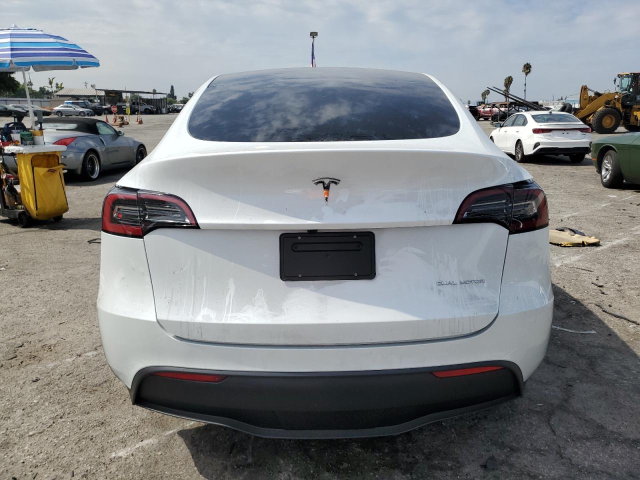 2024 TESLA MODEL Y  VIN:7SAYGDEE5RF131663