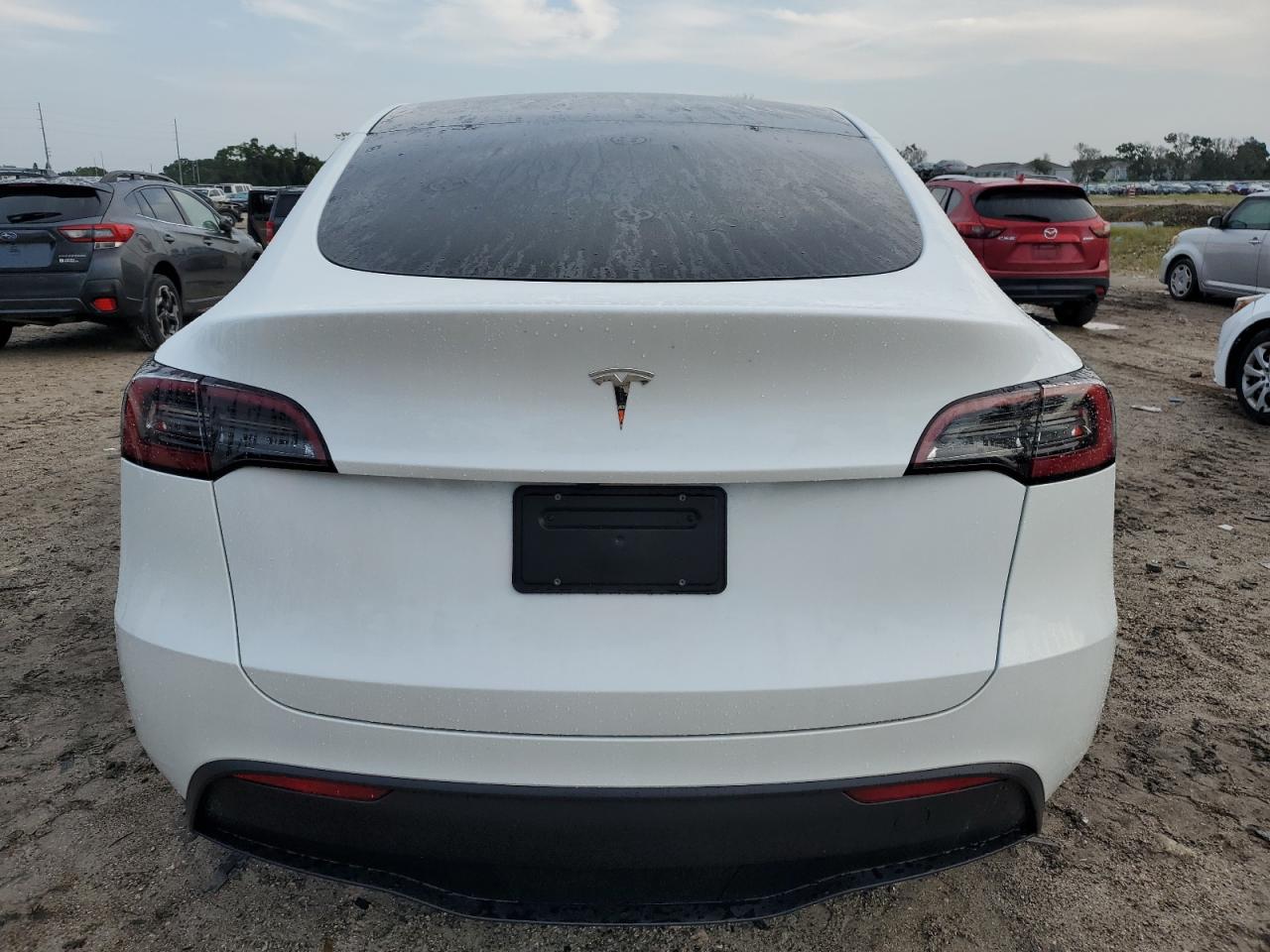 2024 TESLA MODEL Y  VIN:7SAYGDEDXRF129365