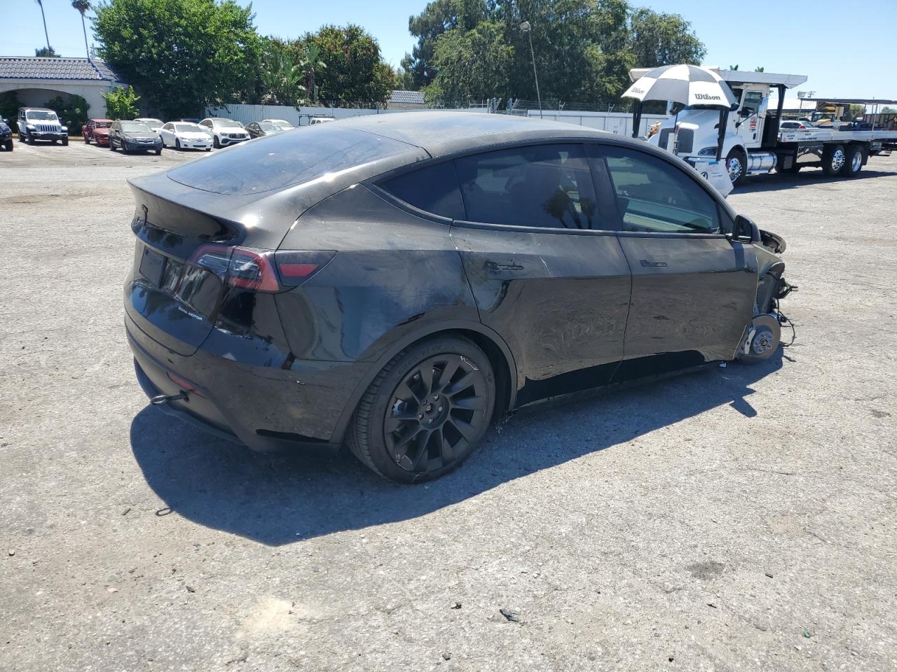 2023 TESLA MODEL Y  VIN:7SAYGDEE0PF815548