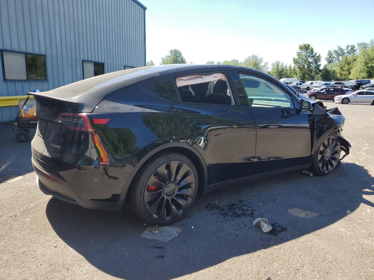 2024 TESLA MODEL Y  VIN:7SAYGDEF1RF061684