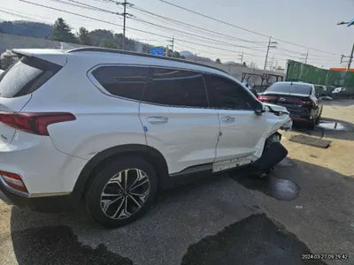 2019 Hyundai Santa FE KMHS381CBKU011363 VIN:KMHS381CBKU011363