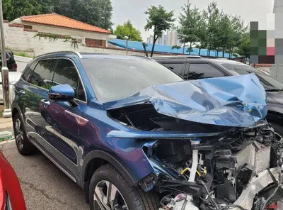 2023 Kia Sorento KNARK81GBPA209200 VIN:KNARK81GBPA209200
