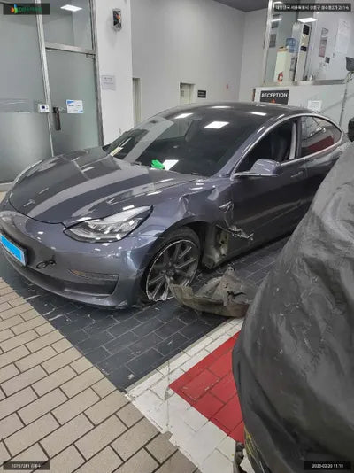 2019 Tesla Model 3 5YJ3E1EB3LF585564 VIN:5YJ3E1EB3LF585564