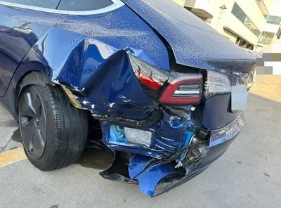 2020 Tesla Model 3 5YJ3E1EB7LF808981 VIN:5YJ3E1EB7LF808981