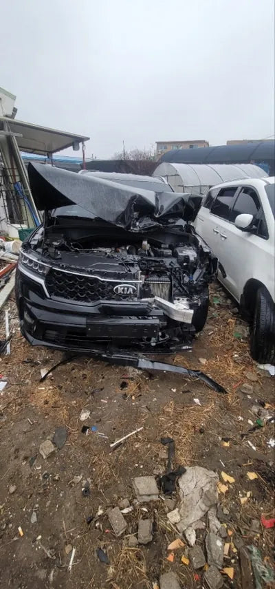 2021 Kia Sorento KNARK81FHMA073308 VIN:KNARK81FHMA073308