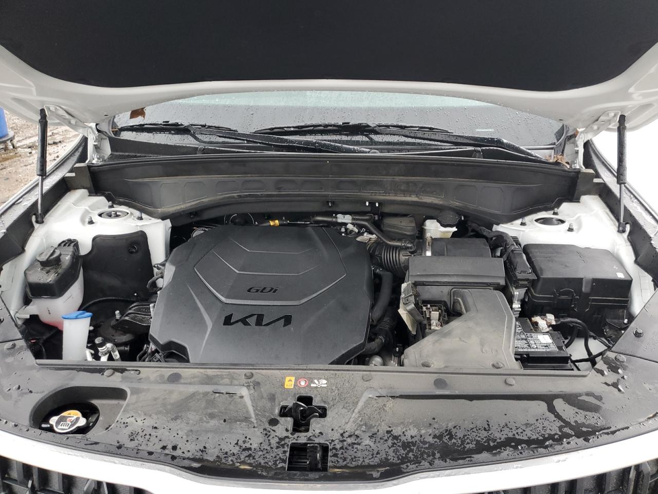 2024 KIA TELLURIDE LX VIN:5XYP24GC3RG467730