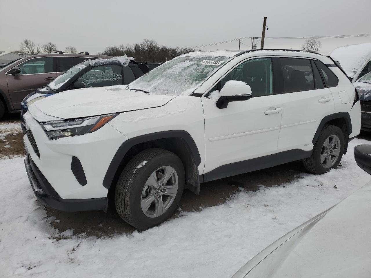 2023 TOYOTA RAV4 XLE VIN:2T3RWRFV2PW183436