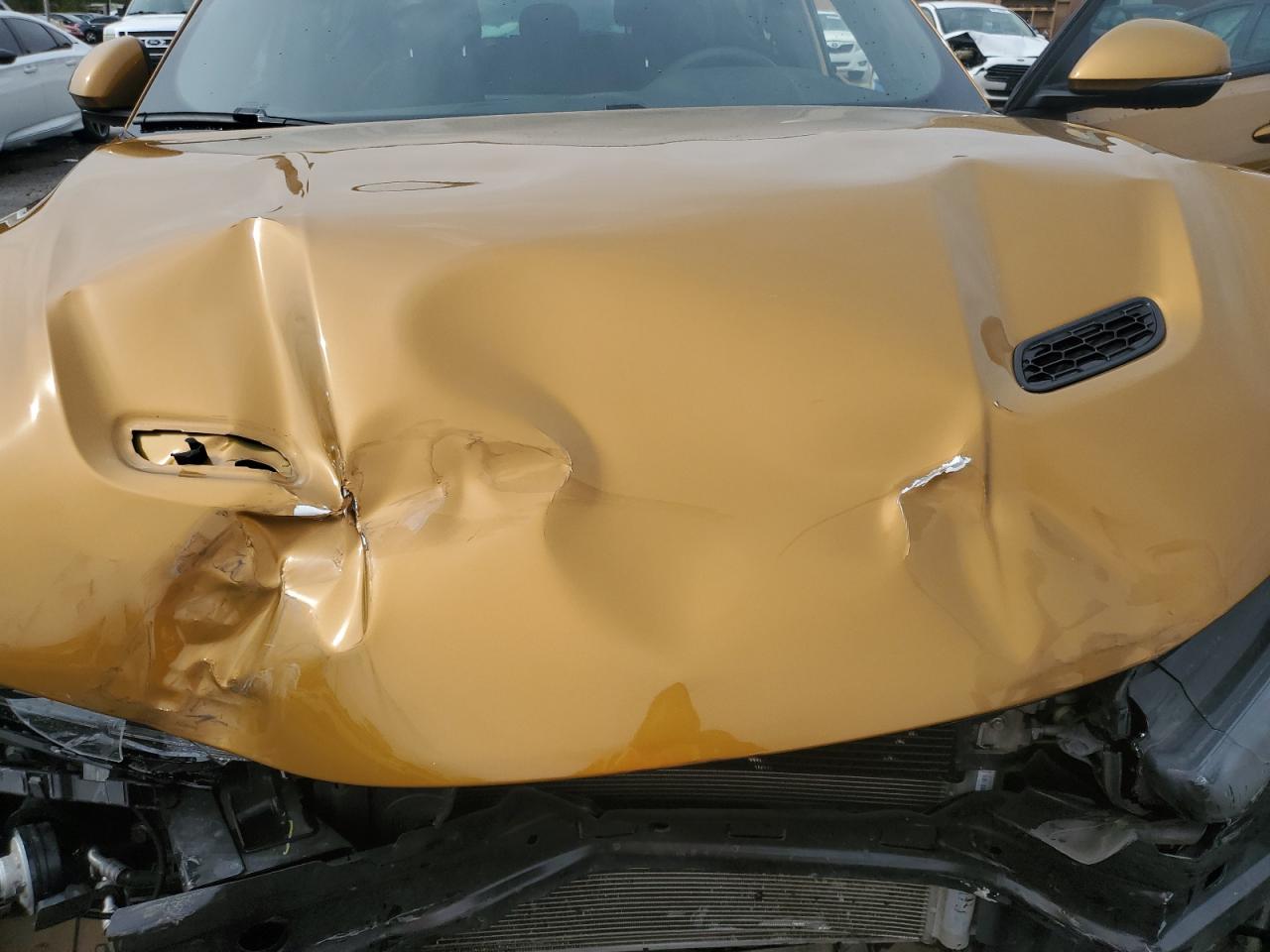 2024 DODGE HORNET GT PLUS VIN:ZACNDFBN1R3A13148