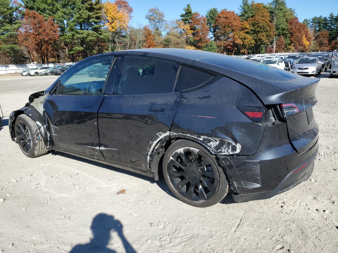 2024 TESLA MODEL Y  VIN:7SAYGDED2RF018759