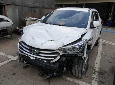 2018 Hyundai Santa FE KMHSW81UBJU793209 VIN:KMHSW81UBJU793209