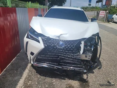 2021 Lexus UX 250 VIN: