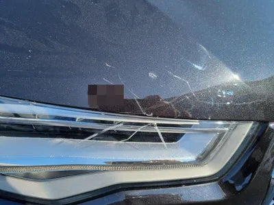 2015 Audi A6 WAUZZZ4G6FN028466 VIN:WAUZZZ4G6FN028466