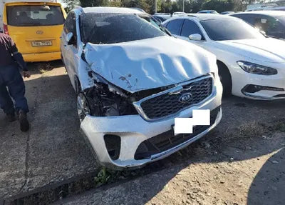 2020 Kia Sorento KNAPG81BBLA610348 VIN:KNAPG81BBLA610348